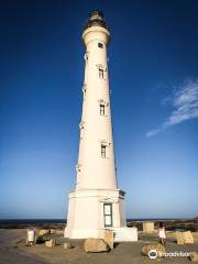 California Lighthouse