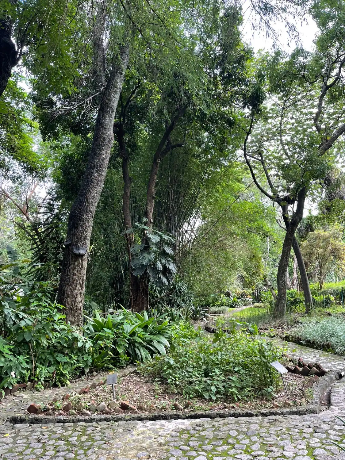 Hotels near Jardin Botanico y Museo de Medicina Tradicional y Herbolaria