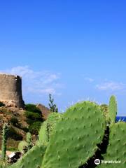 Torre di Longonsardo