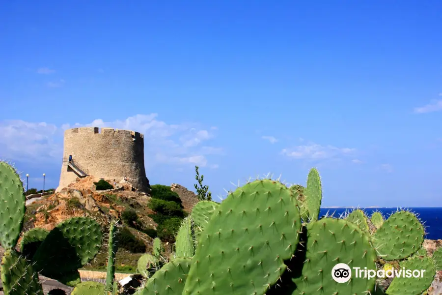 Torre di Longonsardo