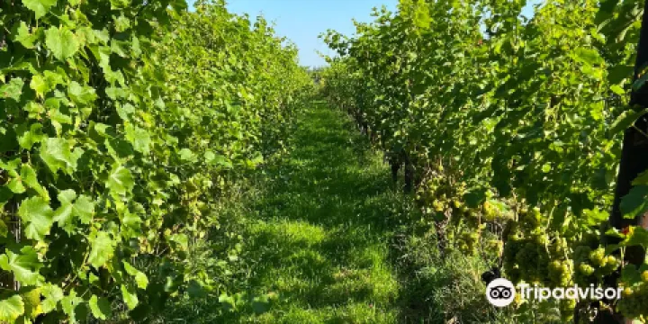 Domein Hof te Dieren