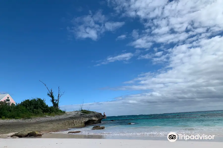 埃爾博島