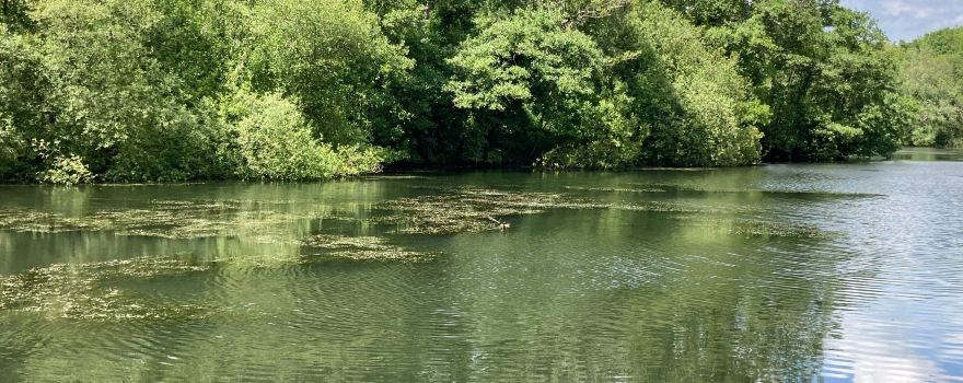 Oare Gunpowder Works Country Park