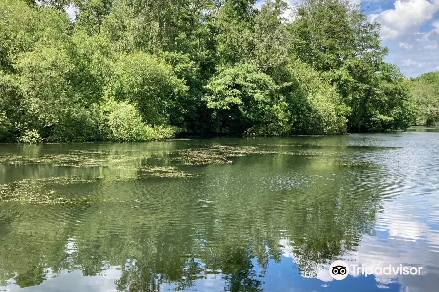 Oare Gunpowder Works Country Park