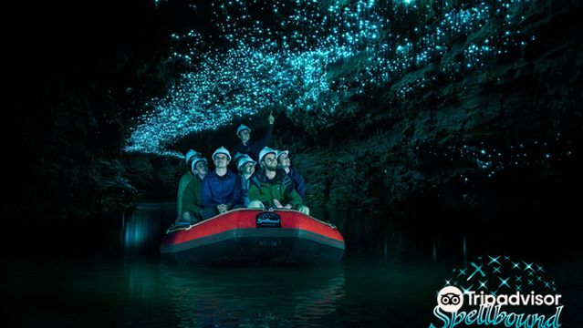 夢幻螢火蟲洞之旅