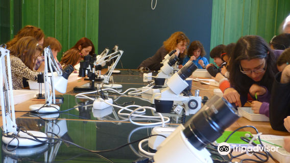 Museu de Ciències Naturals de Granollers (MCNG)