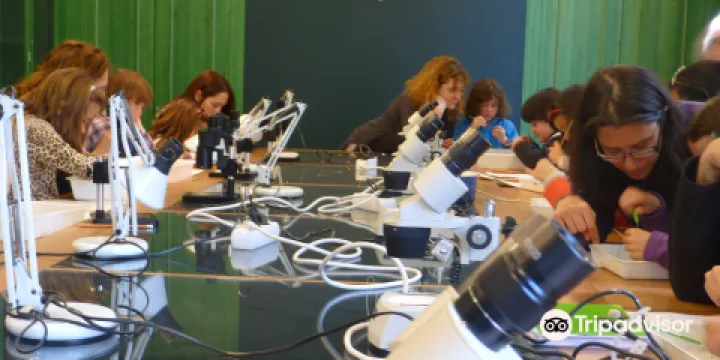 Museo de Ciencies Naturals de Granollers