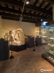 Museo di Storia Naturale Gagliole