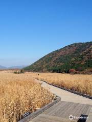 Tadewara Wetlands