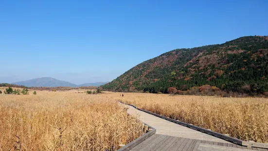 タデ原湿原