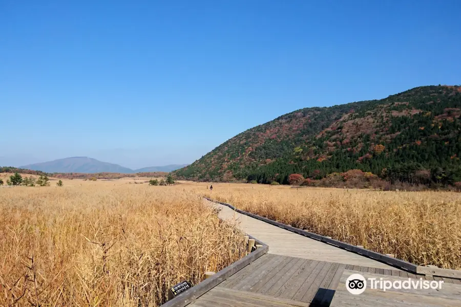 Tadewara Wetlands