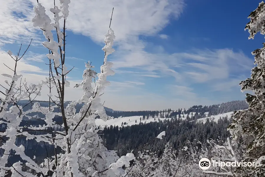 Feldberg