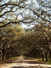 Wormsloe Historic Site