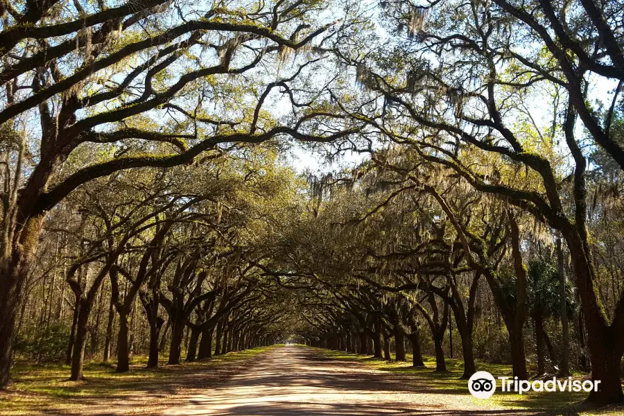 Wormsloe Historic Site