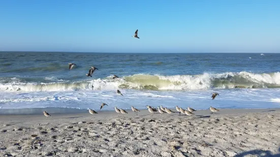 Captiva Beach