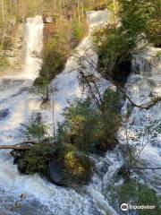 Twin Falls/Eastatoe Falls