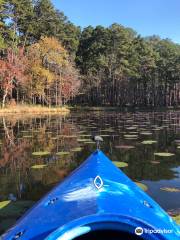 Daingerfield State Park