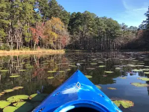 Daingerfield State Park