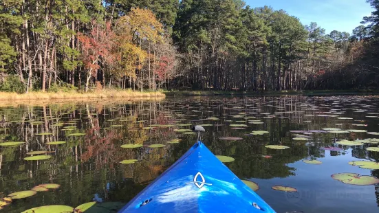 Daingerfield State Park