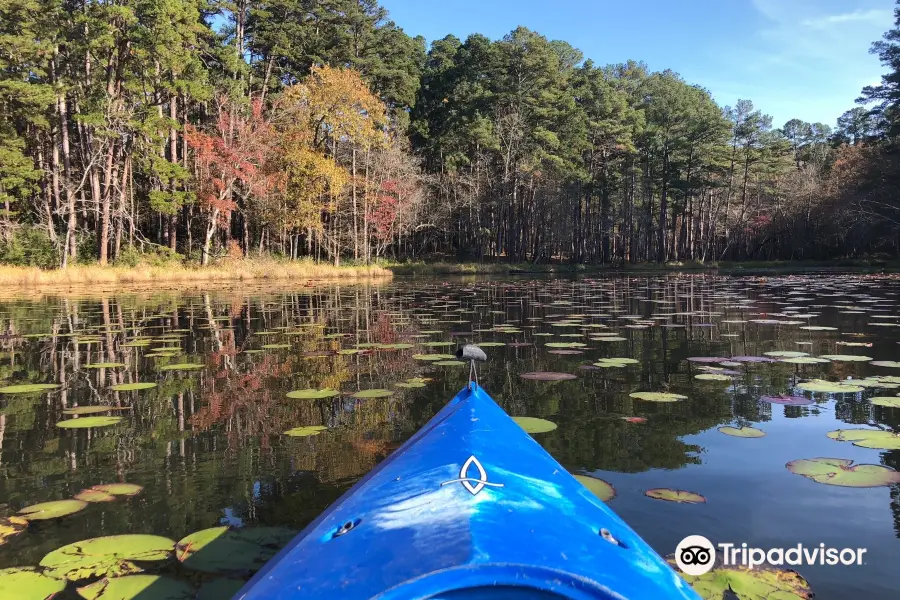 Daingerfield State Park