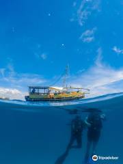 Diani Dhow Safari