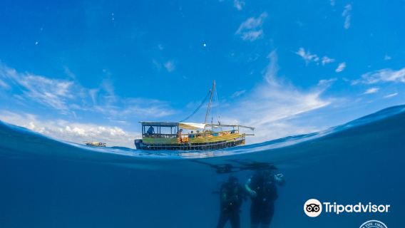 Diani Dhow Safari