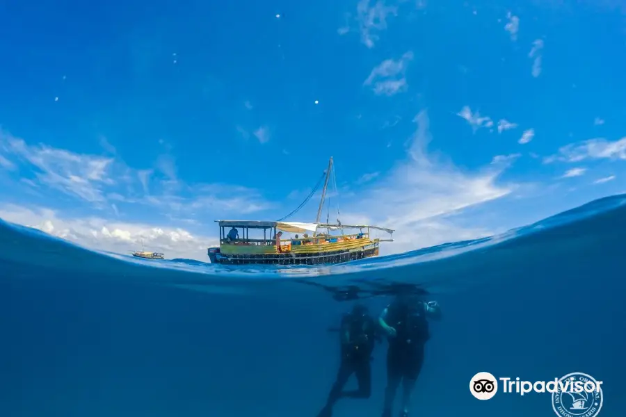 Diani Dhow Safari