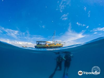 Diani Dhow Safari