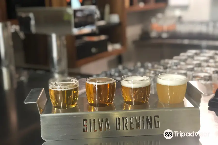 Silva Brewing