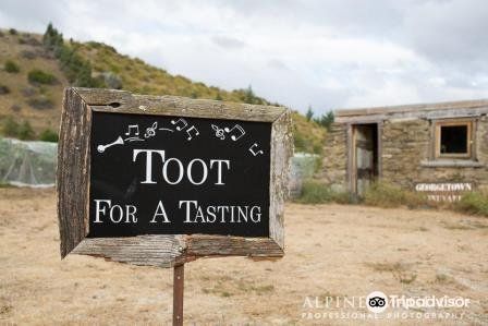 Georgetown Vineyard