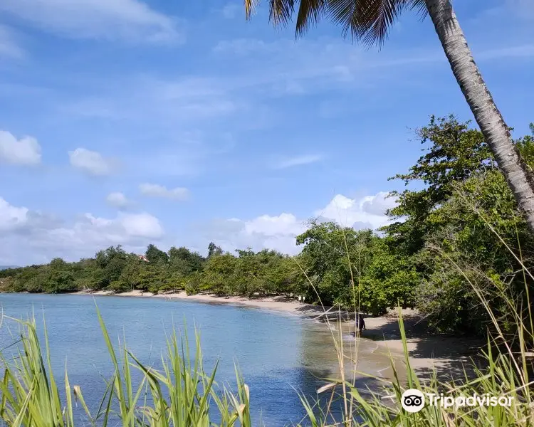 Anse Mabouya