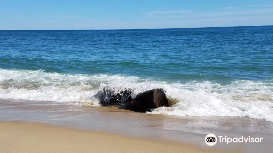 Norton Point Beach