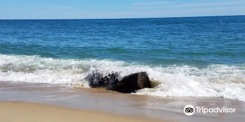 Norton Point Beach