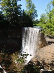 Indian Falls Conservation Area