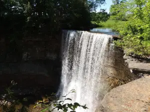 Indian Falls Conservation Area