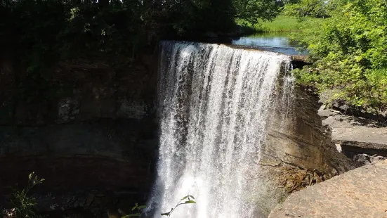 Indian Falls Conservation Area