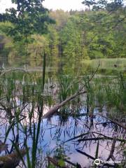 Pontiac Lake Recreation Area