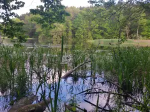 Pontiac Lake Recreation Area