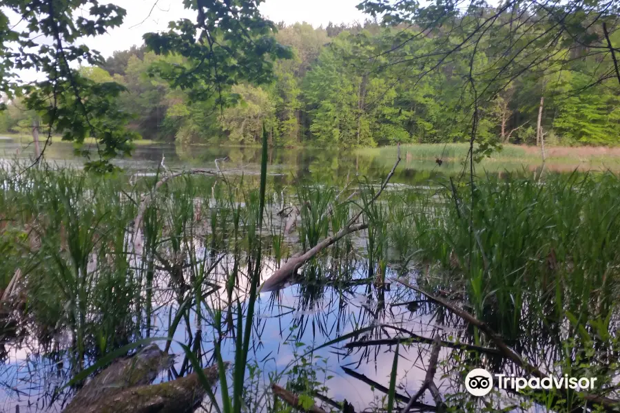 Pontiac Lake Recreation Area