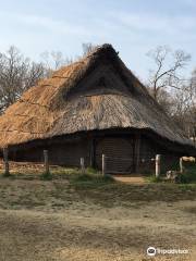 Kasori Shellmounds Site Museum