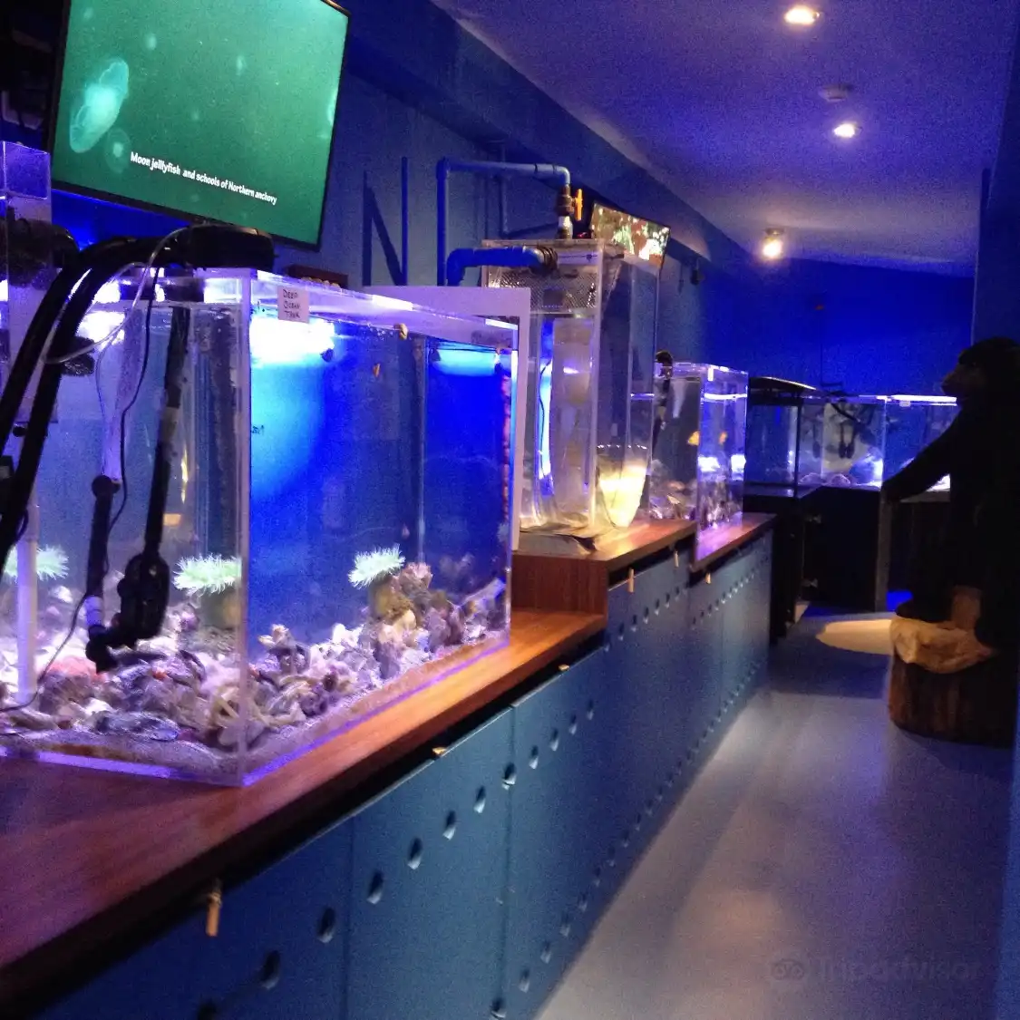 Отели рядом с достопримечательностью «Alberni Aquarium and Stewardship Centre»