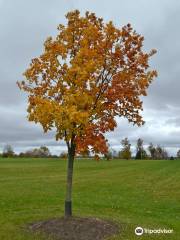 Mackenzie Glen District Park