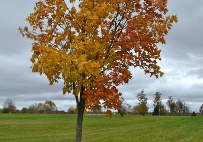 Mackenzie Glen District Park