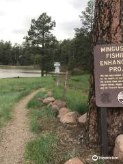 Mingus Lake