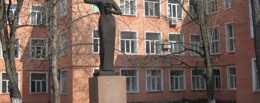 Rajon Marjinka