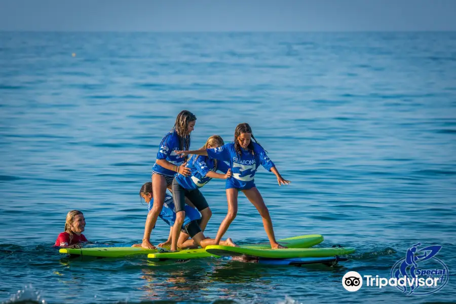 Special Surf School & Camp-Rodiles