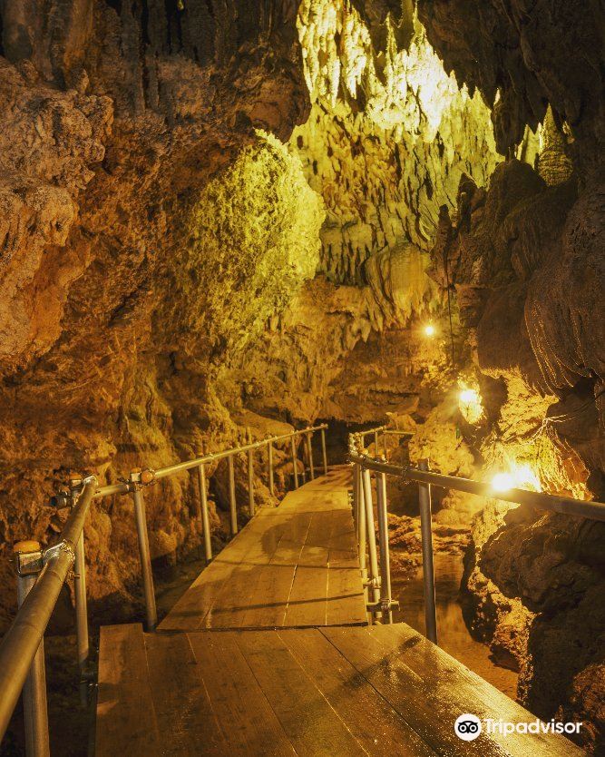 沖縄 CAVE OKINAWA【鍾乳洞】入場Eチケット 予約