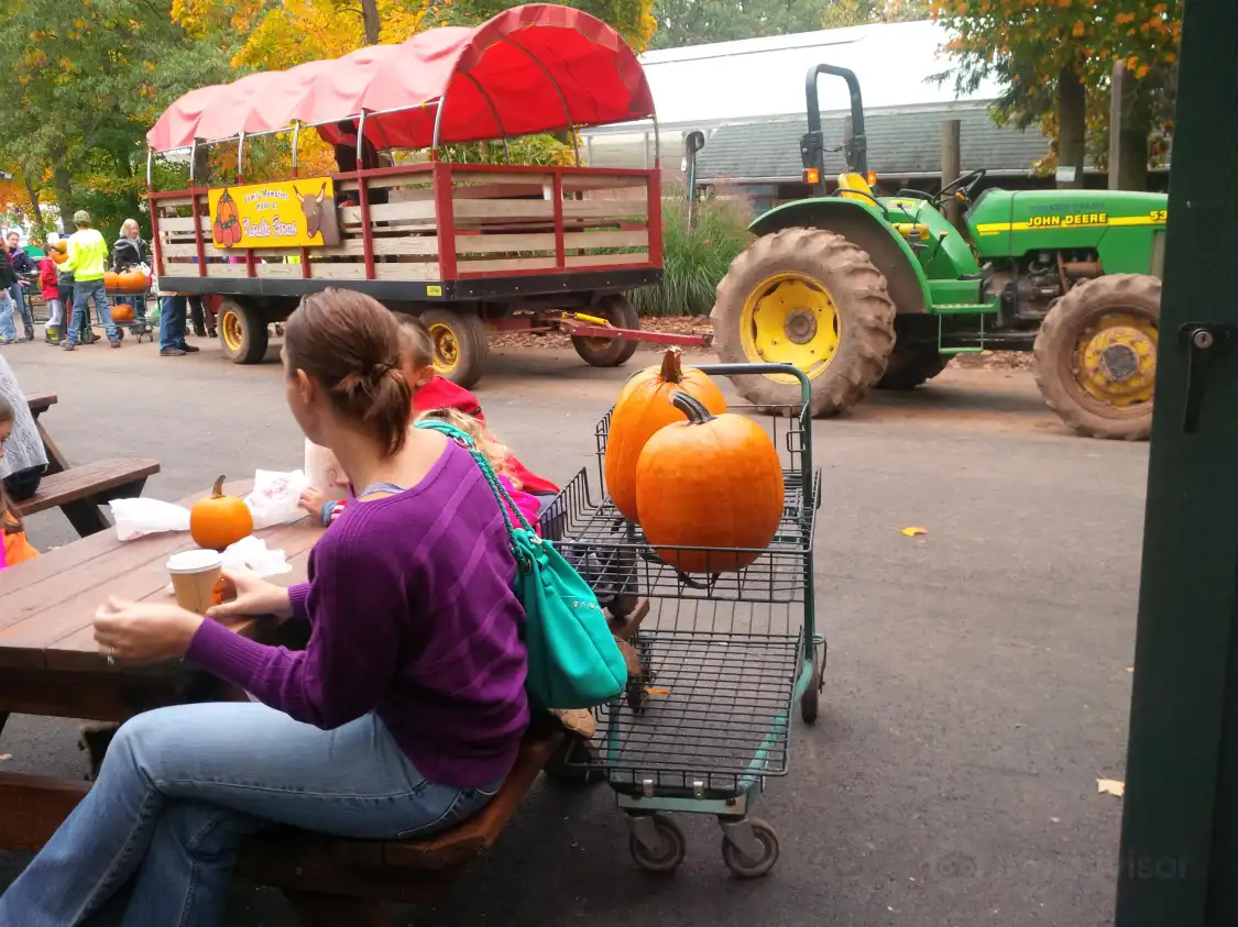 Karabin Farms附近的飯店