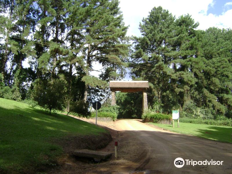Vitoria to Telemaco Borba Flights