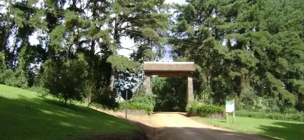Hotels in Telemaco Borba